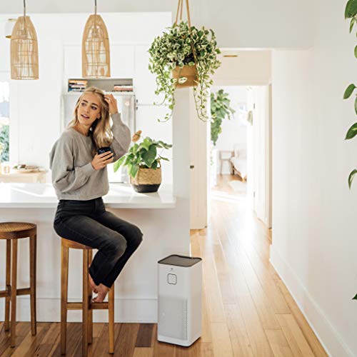 Medify MA-50 Air Purifier with H13 True HEPA Filter UV | 1-Pack, White