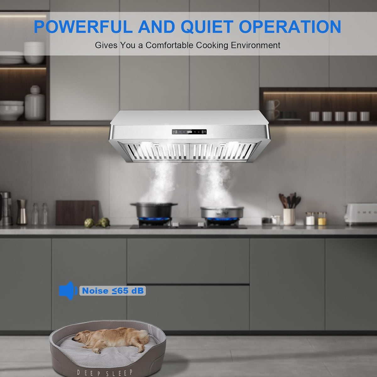 Under Cabinet Range Hood 30 inch, 900 CFM, Remote Control, Time Setting
