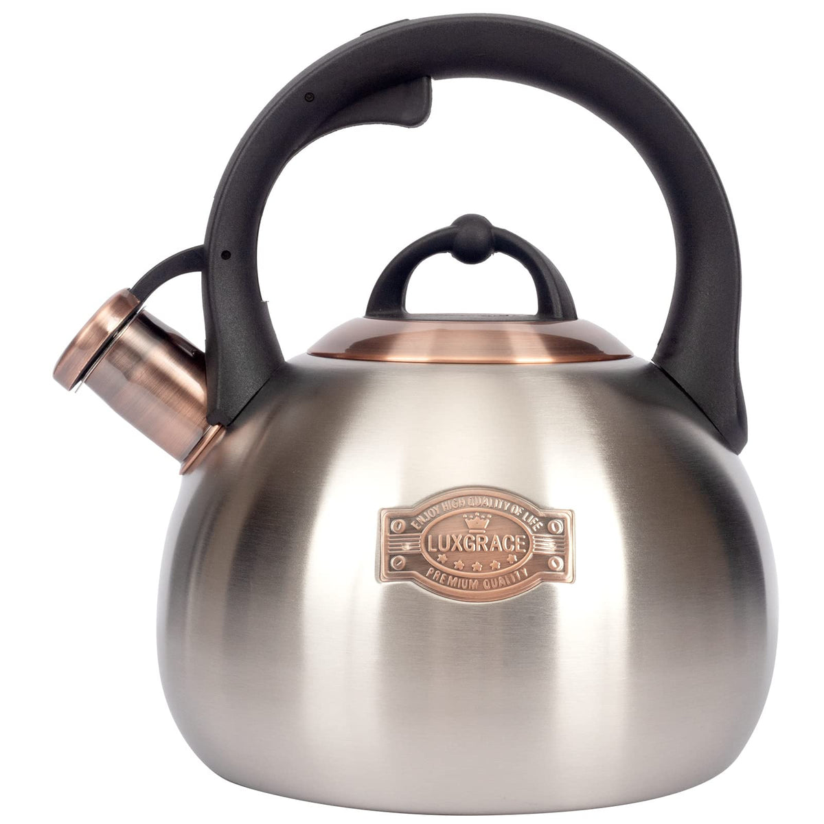 Tea Kettle for Stovetop, Food Grade Stainless Steel Water Kettle, Tea Pot for Home & Kitchen, 3.1 Quart