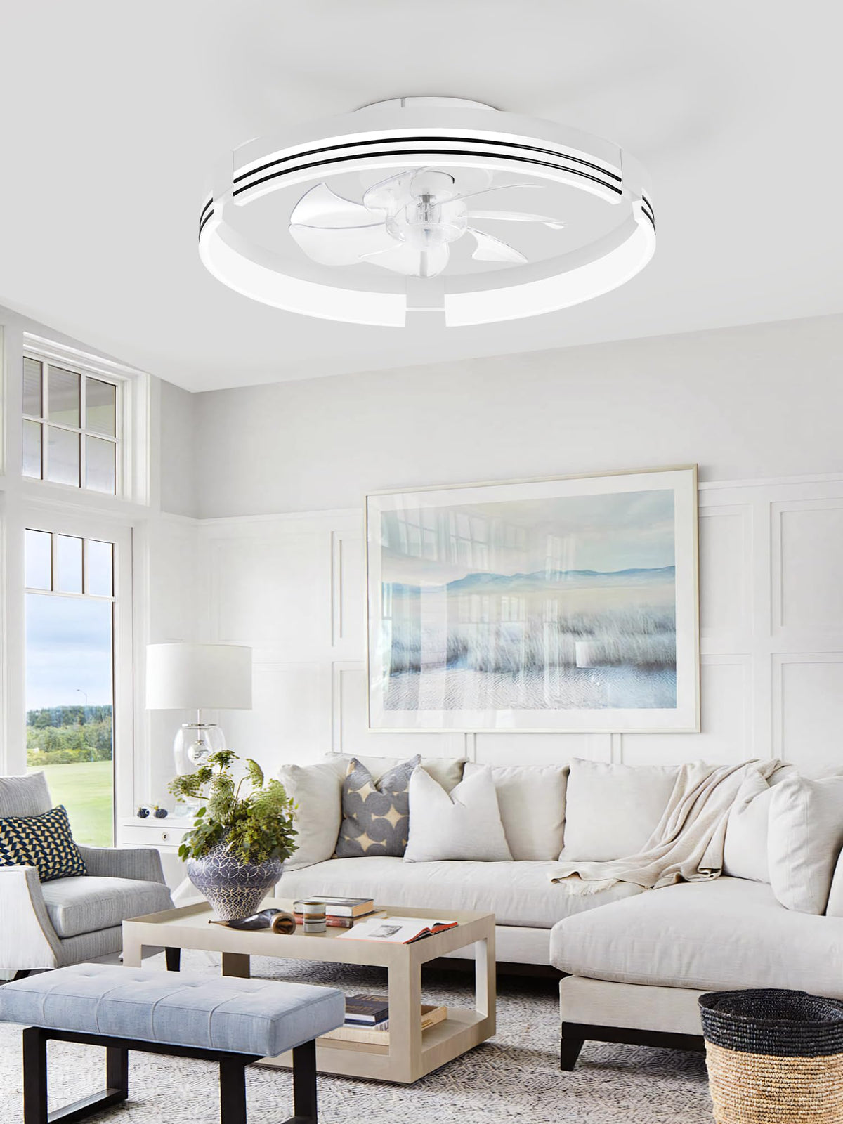 ZMISHIBO Low Profile Ceiling Fans with Lights and Remote, 20" Black