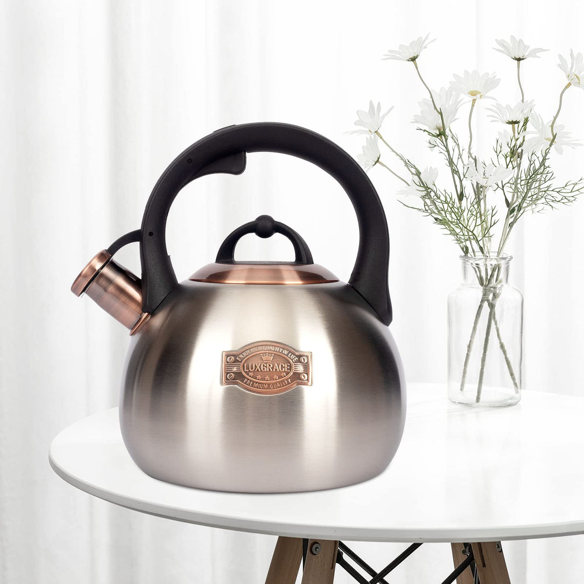 Tea Kettle for Stovetop, Food Grade Stainless Steel Water Kettle, Tea Pot for Home & Kitchen, 3.1 Quart