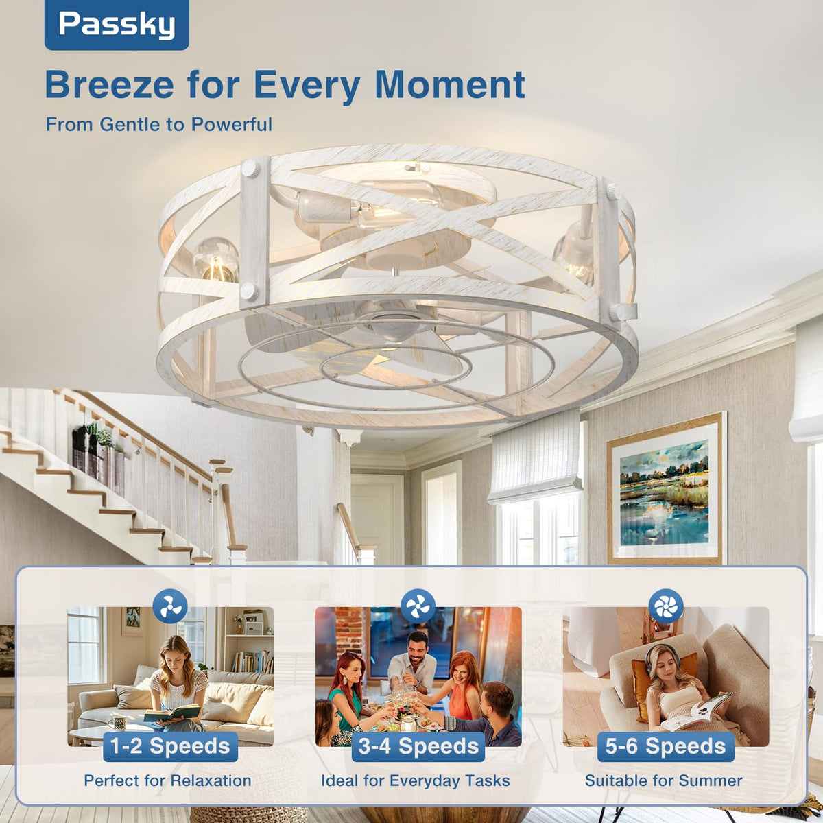 Passky 20" Caged Ceiling Fans with Lights and Remote, Low Profile Fandelier