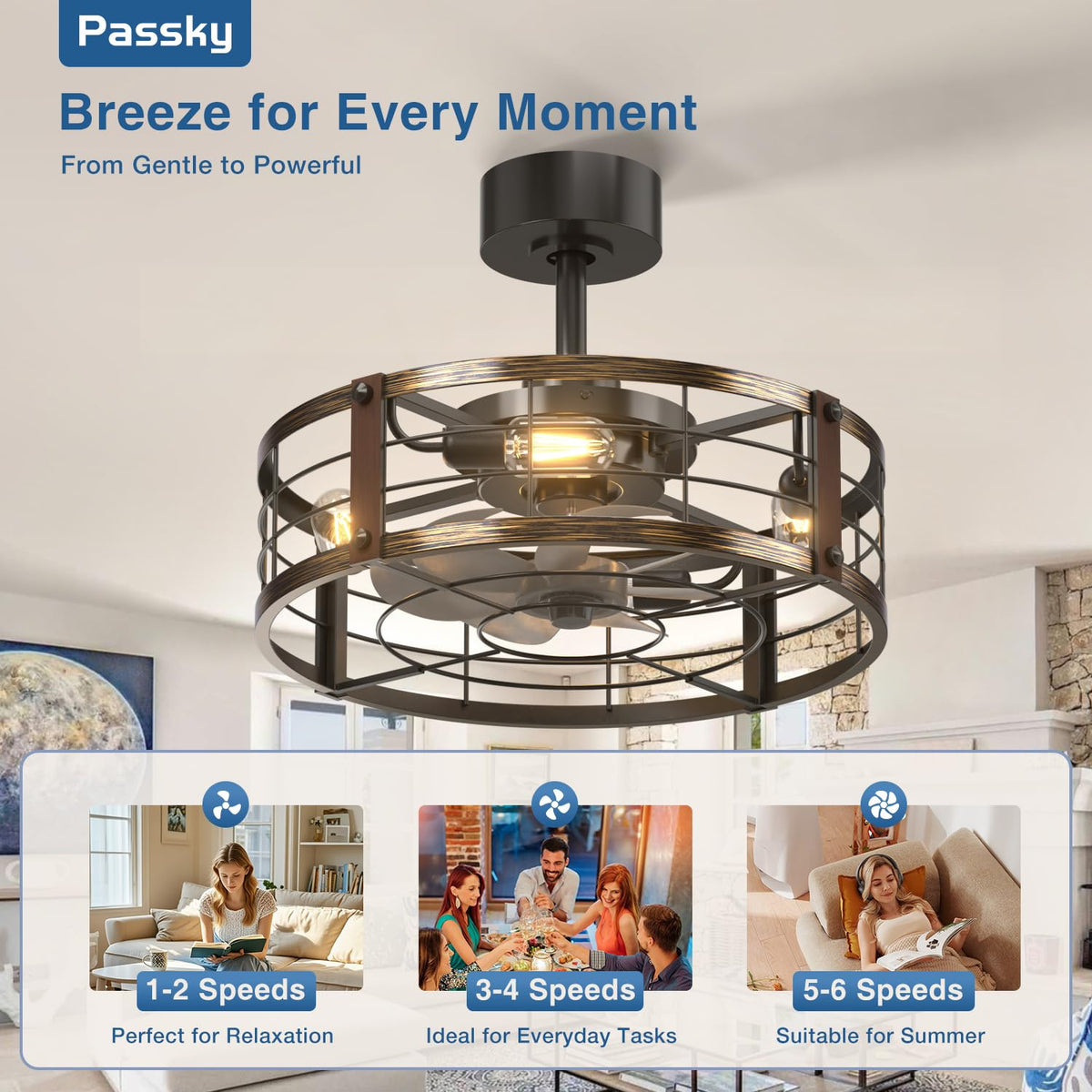 Passky 20" Caged Ceiling Fans with Lights and Remote, Low Profile Fandelier