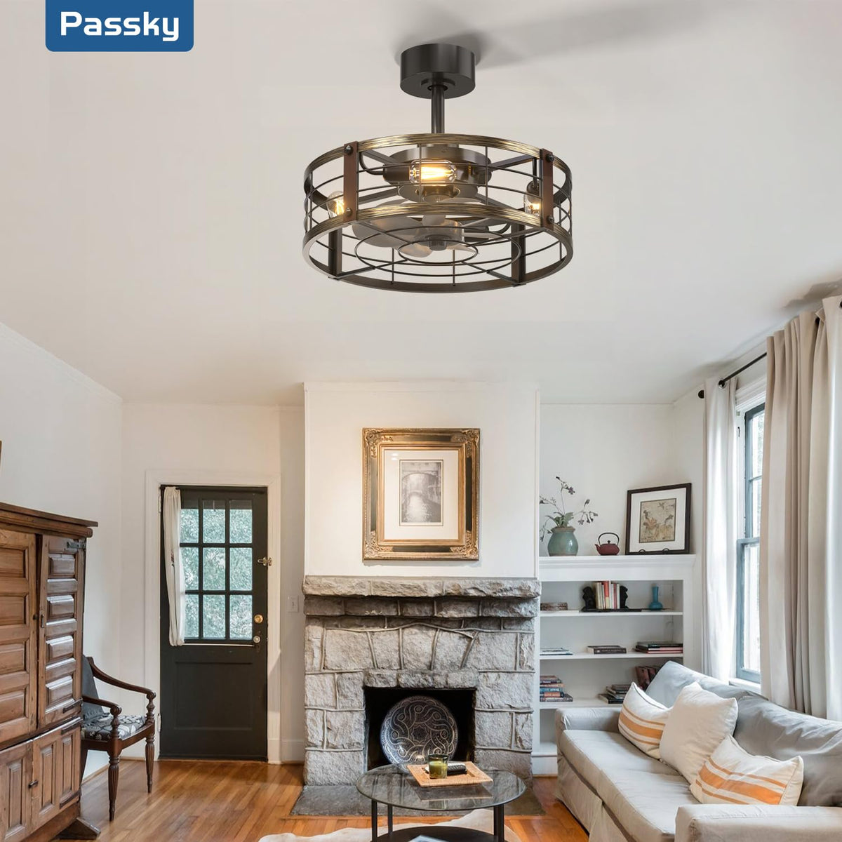 Passky 20" Caged Ceiling Fans with Lights and Remote, Low Profile Fandelier