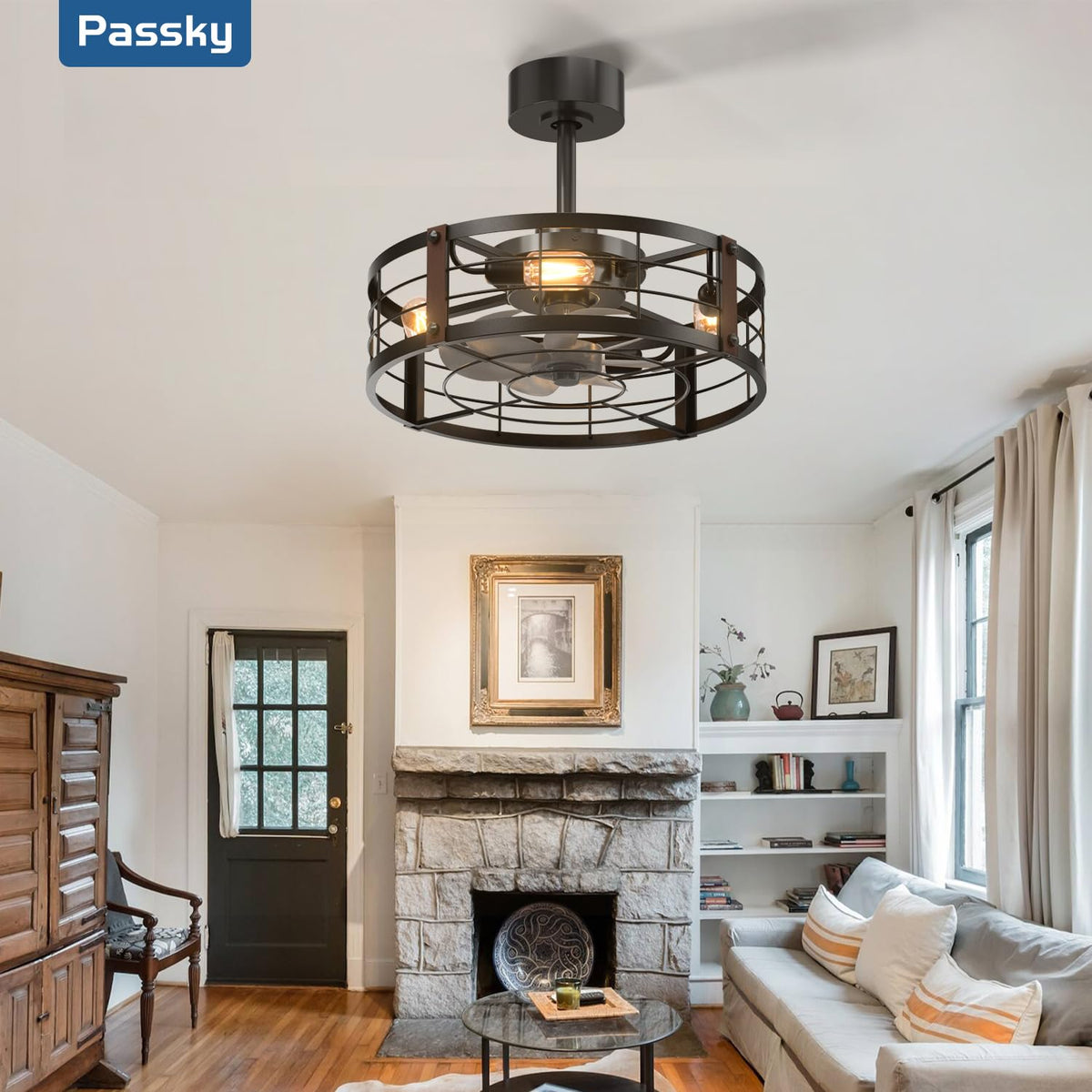 Passky 20" Caged Ceiling Fans with Lights and Remote, Low Profile Fandelier