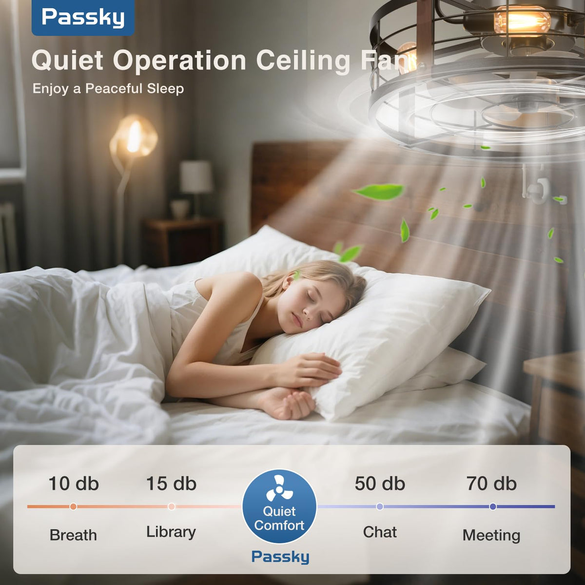 Passky 20" Caged Ceiling Fans with Lights and Remote, Low Profile Fandelier