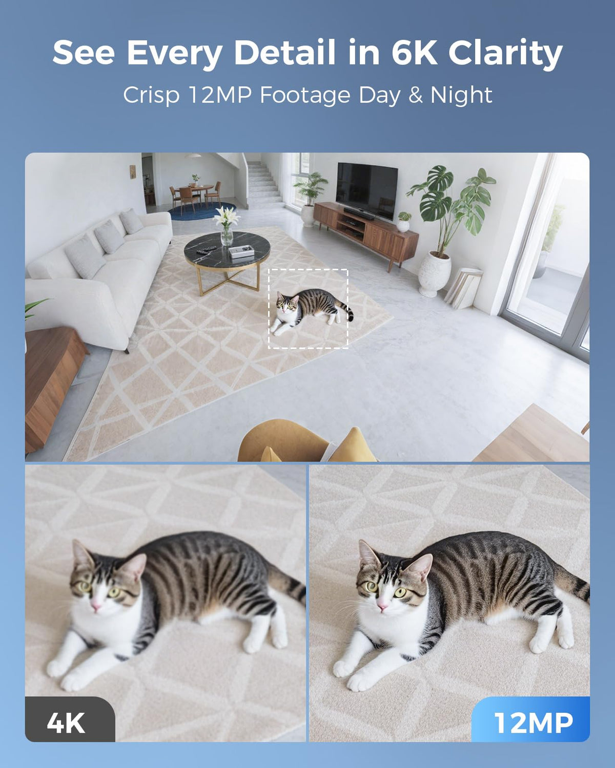 【Human Track】Hiseeu 4K PoE PTZ Security Camera System, 6pcs 5MP PTZ Cameras