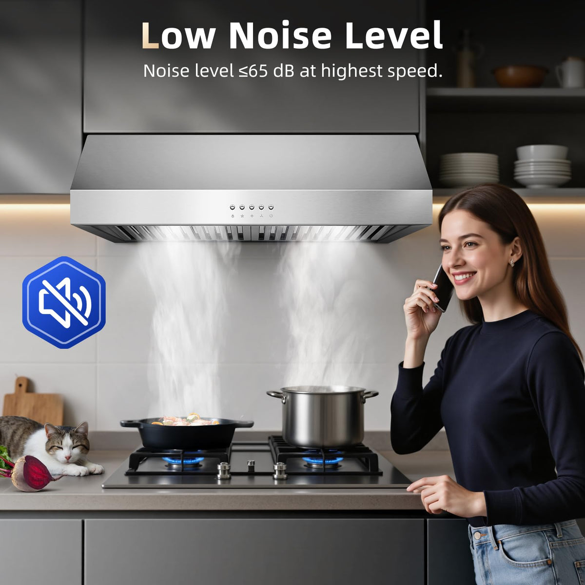 Under Cabinet Range Hood 30 inch, 900 CFM, Remote Control, Time Setting
