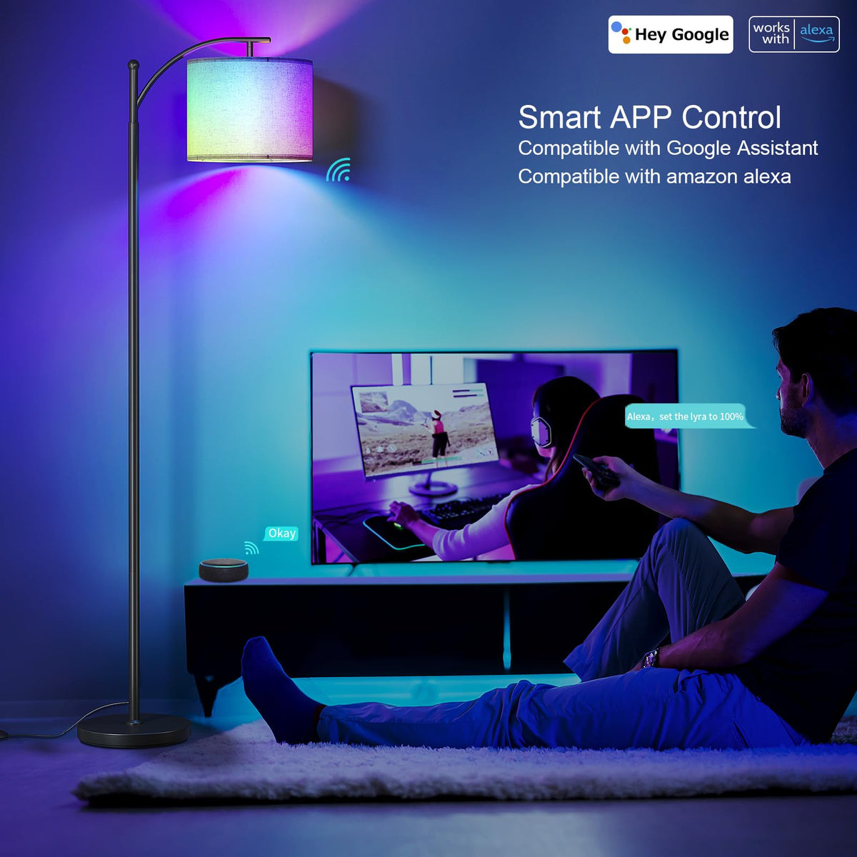 SUNMORY Arc Floor Lamp, Modern Floor Lamp with 3 Color Temperatures Bulb