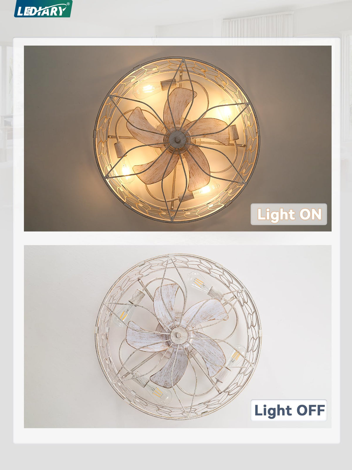 LEDIARY Caged Ceiling Fan with Light, Flush Mount Fandalier with Remote