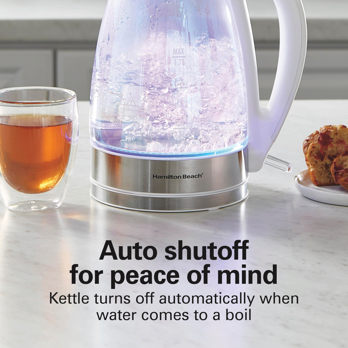 Hamilton Beach 1 Liter Electric Tea Kettle, Water Boiler & Heater