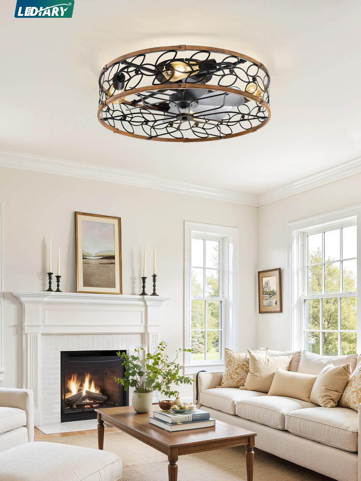 LEDIARY Caged Ceiling Fan with Light, Flush Mount Fandalier with Remote