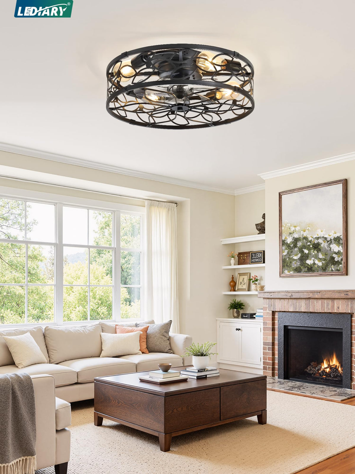LEDIARY Caged Ceiling Fan with Light, Flush Mount Fandalier with Remote