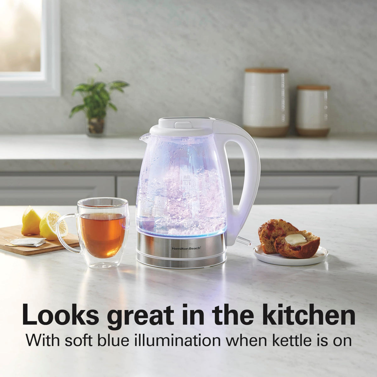 Hamilton Beach 1 Liter Electric Tea Kettle, Water Boiler & Heater