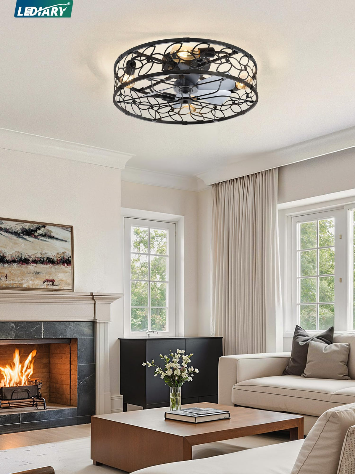 LEDIARY Caged Ceiling Fan with Light, Flush Mount Fandalier with Remote