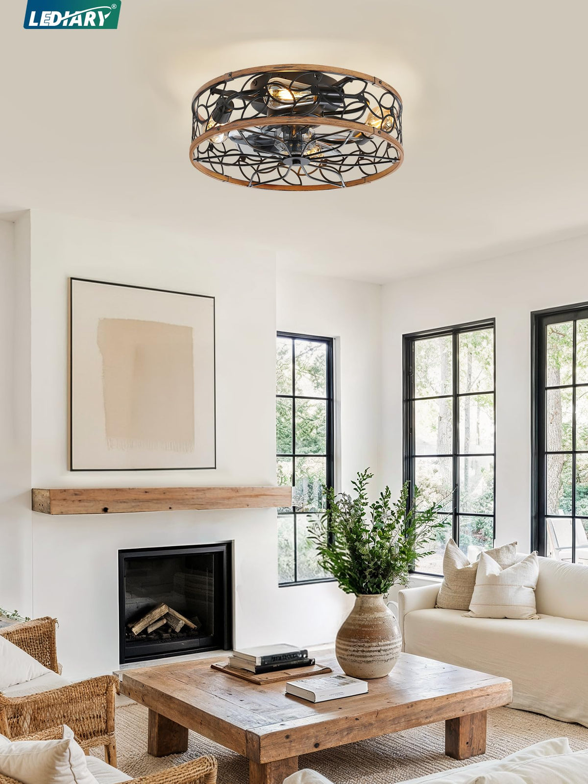 LEDIARY Caged Ceiling Fan with Light, Flush Mount Fandalier with Remote