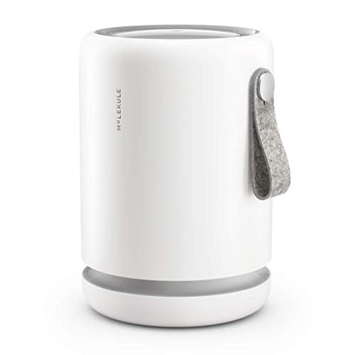 Molekule Air Mini Small Room Size Coverage - up to 250 sq. ft., White