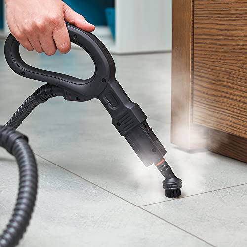 POLTI Vaporetto Smart 100 Steam Cleaner with Continuous Fill, Sanitize and...