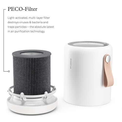 Molekule Air Mini & Mini+ – and Mini+, White