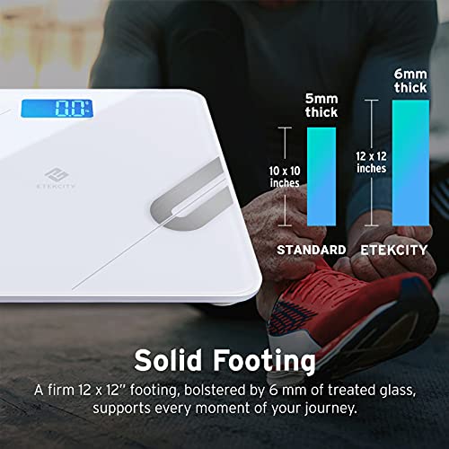Etekcity Scale for Body Weight, Smart 11.8x11.8 Inch (Pack of 1), White