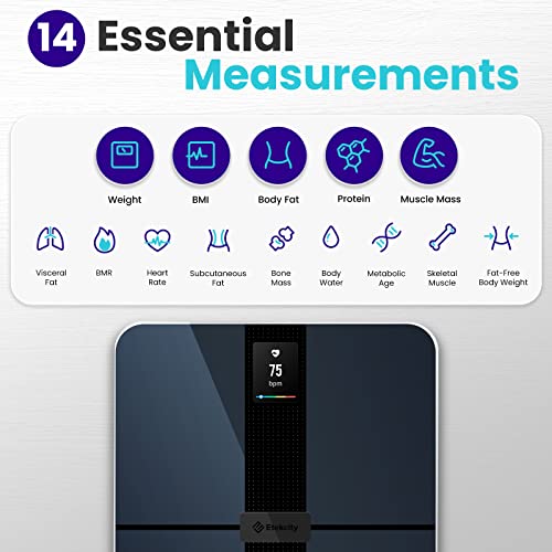 Etekcity Smart WiFi Body Fat Scale, FSA HSA Approved Accurate Dark Blue
