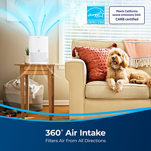 BISSELL MYair Air Purifier with High Efficiency and Carbon MYair, 2780a