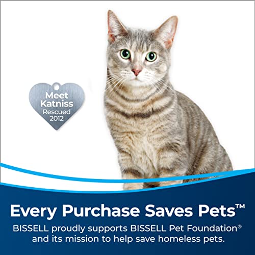 BISSELL MYair Air Purifier with High Efficiency and Carbon MYair, 2780a