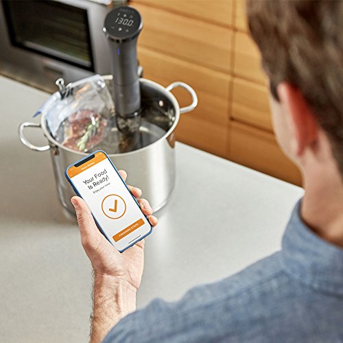 Anova Culinary AN400-US00 Nano Sous Vide 12.8" x 2.2" x 4.1", Silver