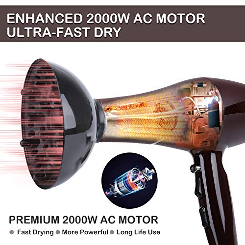 2000 Watt Hair Dryers, Xpoliman 1 Count (Pack of 1), Brown/Purple