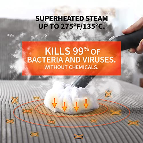 Dupray Neat Steam Cleaner Powerful Multipurpose Portable Heavy Duty White