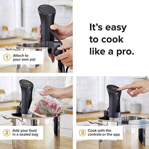Anova Culinary AN500-US00 1000 Watts | App Included, Black and Silver