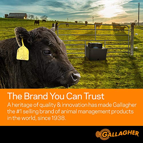 Gallagher M360 Electric Fence Charger | Powers Up to 55 Miles / 250 Acres of...