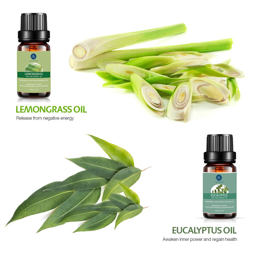 Lagunamoon Essential Oils Top 6 Gift Set Pure for Diffuser, Humidifier,...