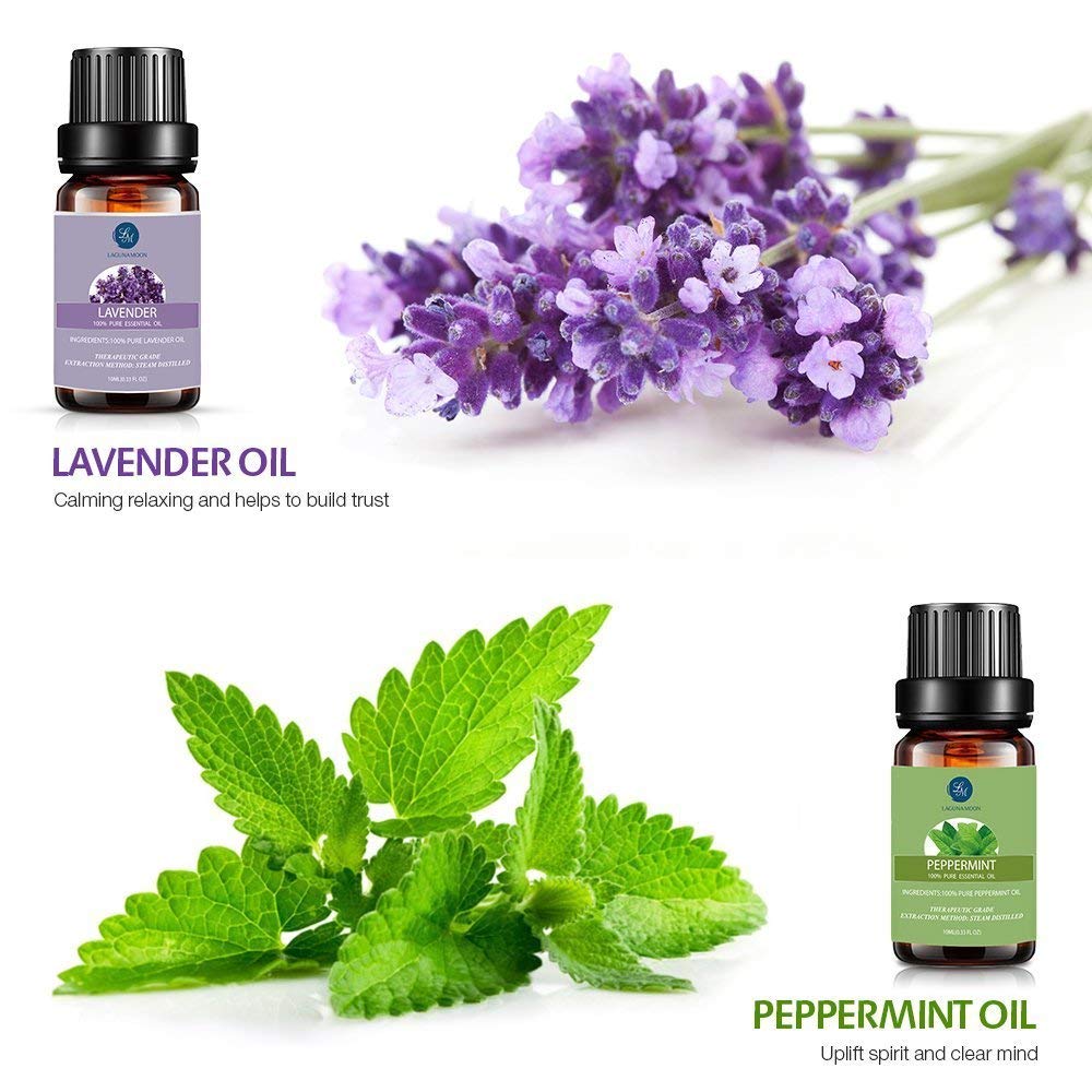 Lagunamoon Essential Oils Top 6 Gift Set Pure for Diffuser, Humidifier,...