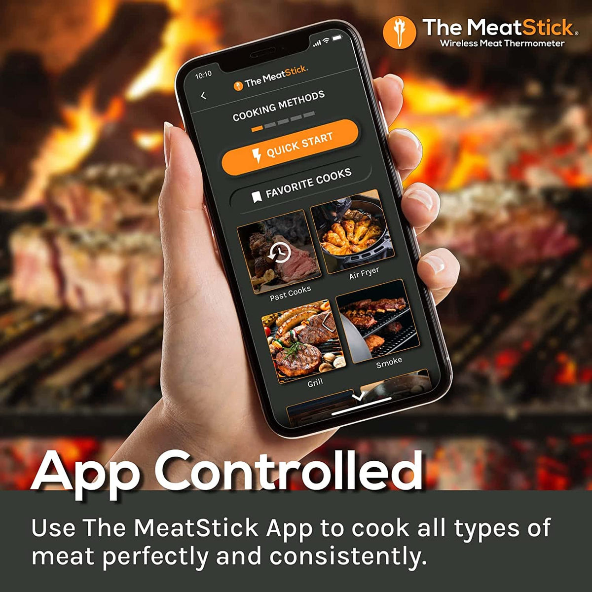 MeatStick Set | Wireless Meat Thermometer with Bluetooth | for BBQ, Kitchen,...